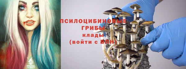 твердый Володарск
