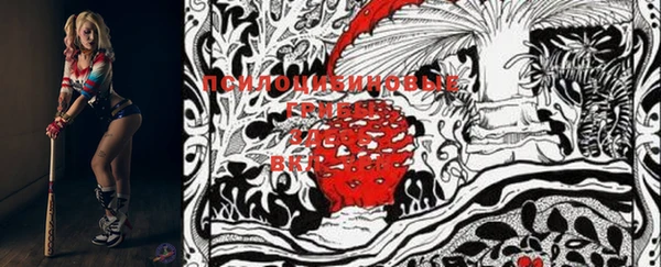 метадон Инсар