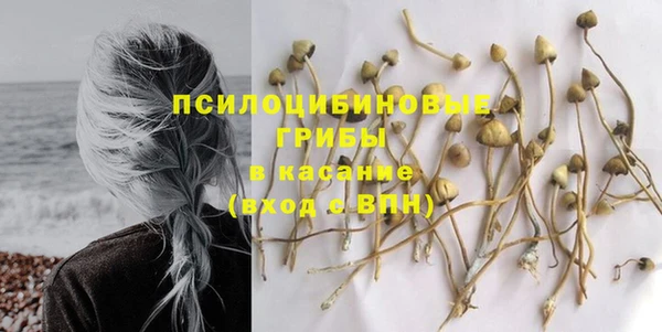 меф Инта