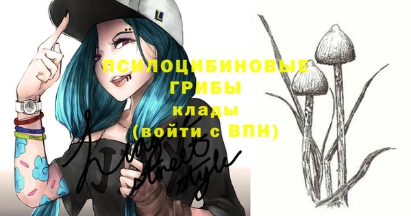 не бодяженный Верхний Тагил