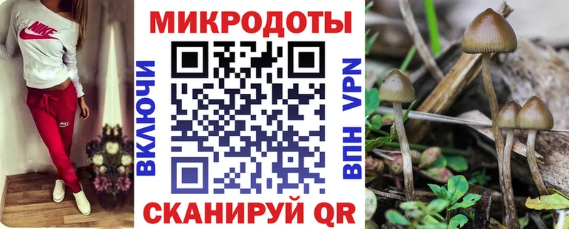 omg как зайти  Калач  Псилоцибиновые грибы MAGIC MUSHROOMS 